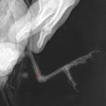 post-68299-1474075180_thumb.jpg