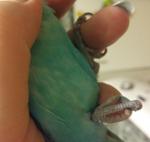 post-68385-1474650368_thumb.jpg
