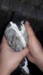 post-68423-1475427119_thumb.jpg