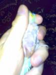 post-68515-1475733305_thumb.jpg
