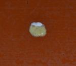 post-68521-1475759155_thumb.jpg