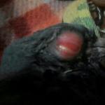 post-68534-1475967656_thumb.jpg