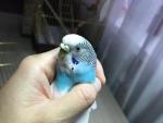 post-68590-1476298140_thumb.jpg
