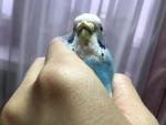 post-68590-1476298151_thumb.jpg