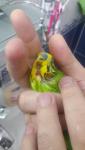post-68596-1476427346_thumb.jpg