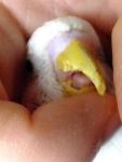 post-68642-1478930269_thumb.jpg