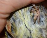 post-68695-1502042948_thumb.jpg