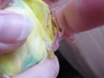post-68712-1481477013_thumb.jpg
