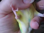 post-68712-1481477059_thumb.jpg