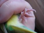 post-68712-1481477076_thumb.jpg