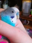 post-68726-1477558787_thumb.jpg