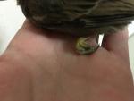post-68789-1478013659_thumb.jpg