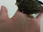 post-68789-1478013749_thumb.jpg