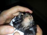 post-68798-1479121790_thumb.jpg
