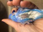 post-68850-1478451103_thumb.jpg