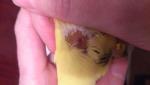 post-68903-1478893176_thumb.jpg