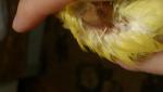 post-68903-1478977652_thumb.jpg