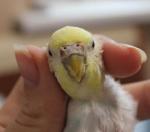 post-68956-1479204444_thumb.jpg