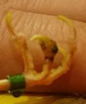 post-68968-1479243391_thumb.jpg