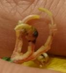 post-68968-1479243399_thumb.jpg
