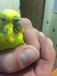 post-68971-1480166026_thumb.jpg