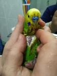 post-69018-1479634227_thumb.jpg
