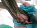 post-69043-1479830284_thumb.jpg