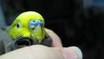 post-69122-1480455758_thumb.jpg