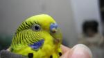 post-69122-1480503204_thumb.jpg