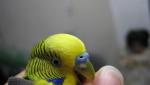 post-69122-1480503267_thumb.jpg
