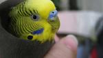 post-69122-1480503311_thumb.jpg