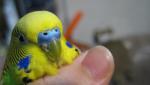 post-69122-1481025939_thumb.jpg