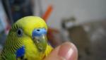 post-69122-1481025977_thumb.jpg
