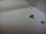 post-69201-1481203094_thumb.jpg
