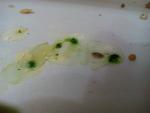 post-69201-1481213907_thumb.jpg