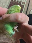 post-69223-1481357852_thumb.jpg