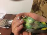 post-69223-1481357910_thumb.jpg