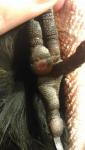 post-69239-1481444351_thumb.jpg