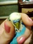 post-69250-1481899553_thumb.jpg