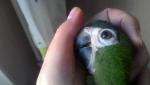 post-69283-1481804829_thumb.jpg