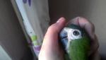 post-69283-1481804838_thumb.jpg