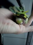 post-69323-1482103023_thumb.jpg