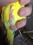 post-69378-1482579433_thumb.jpg