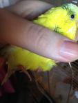 post-69378-1482579447_thumb.jpg