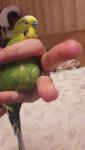 post-69389-1482680302_thumb.jpg