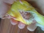 post-69497-1483637818_thumb.jpg