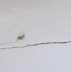 post-69561-1488889274_thumb.jpg