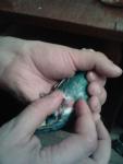 post-69566-1484077669_thumb.jpg