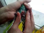 post-69566-1484134539_thumb.jpg