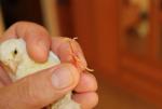post-69567-1501142068_thumb.jpg